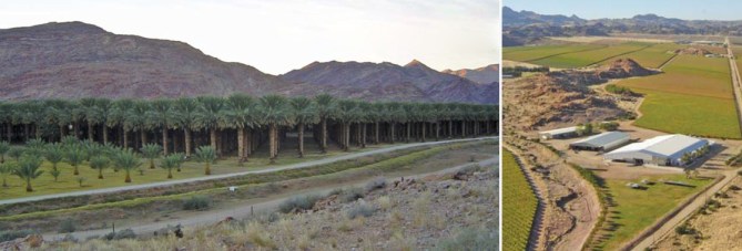 Irrigation scheduling offers peace of mind