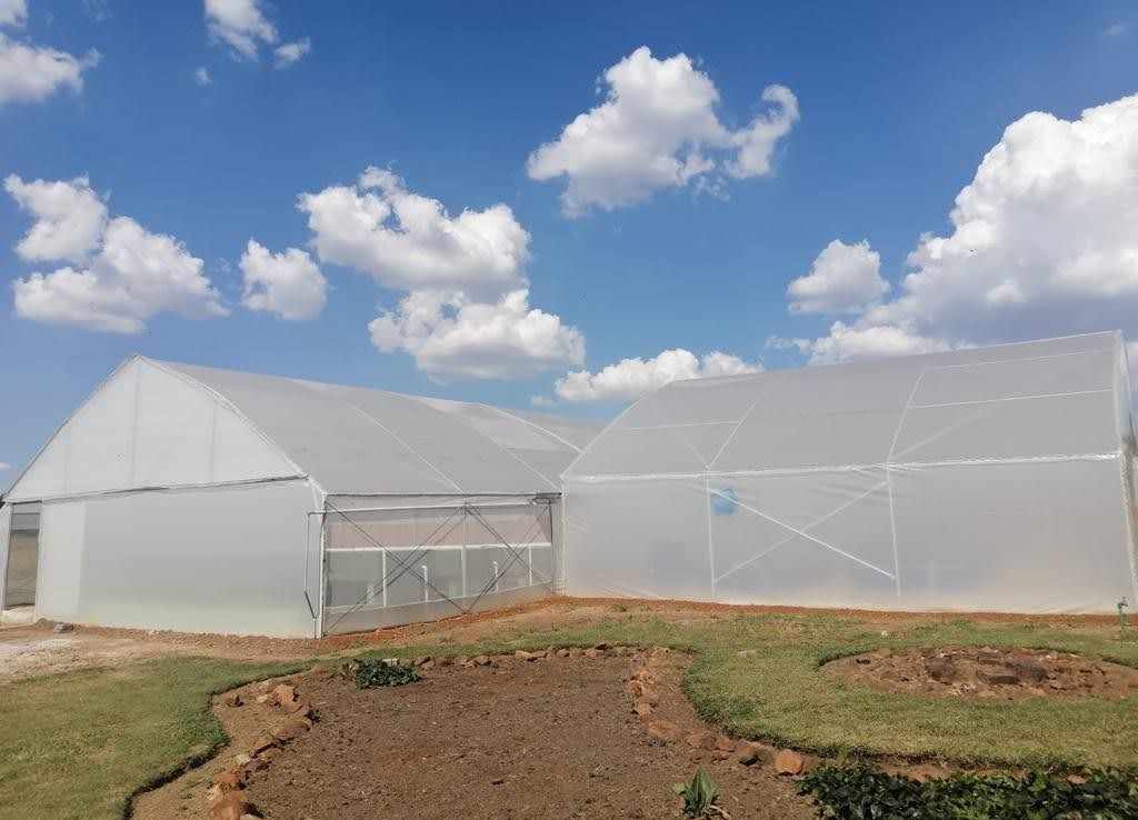 SA's first aquaponics social enterprise to promote climate-smart food production