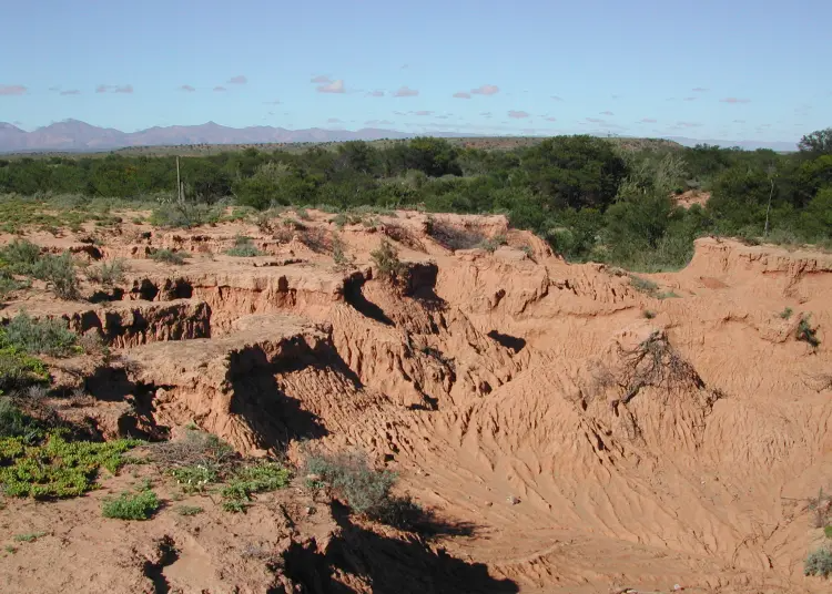 Soil erosion: Prevention is far more effective than cure