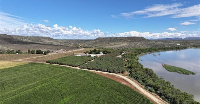 South Africa is aiming to develop a multibillion-rand pistachio sector, with ambitions to produce up to 60,000 tonnes annually and secure 5–8% of the global market within the next decade. The country could become one of the top six or seven producers worldwide.